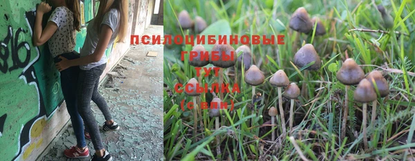 spice Кукмор